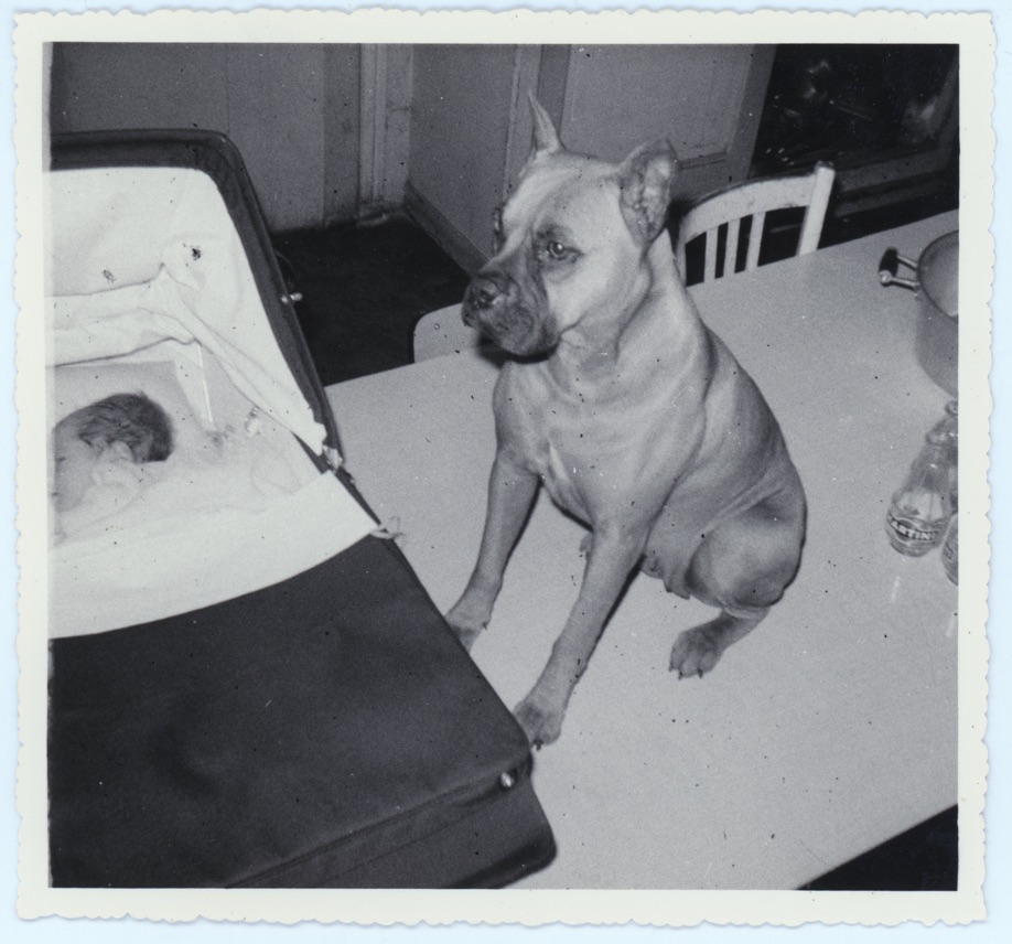 1969 Old Scanned Photo - Dog & Baby